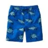 Full-Length Swim Trunk Kids -Baby Clothing Store 1511515731 RLLD 1